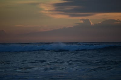 DSC_2447.jpg