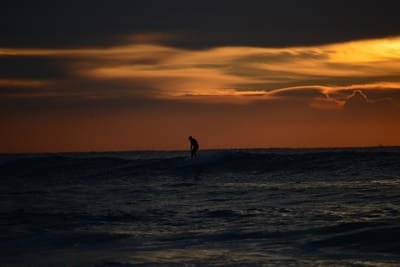 DSC_2448.jpg