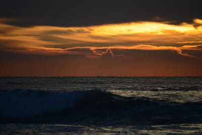 DSC_2449.jpg
