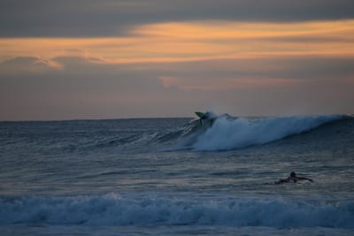 DSC_2450.jpg