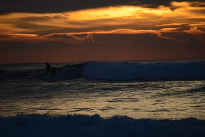 DSC_2452.jpg