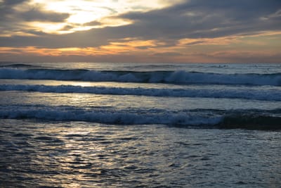 DSC_2457.jpg
