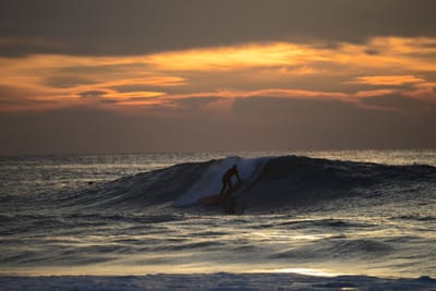 DSC_2459.jpg