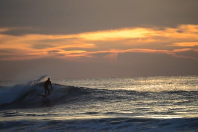 DSC_2460.jpg