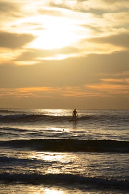 DSC_2466.jpg