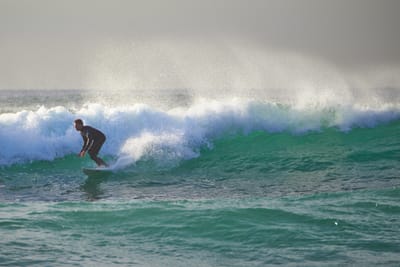 DSC_2473.jpg