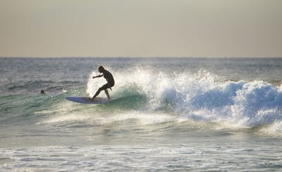 DSC_2475.jpg