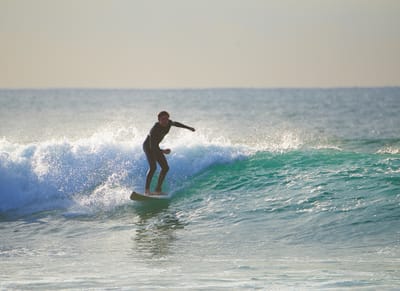 DSC_2478.jpg