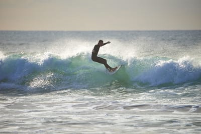 DSC_2480.jpg