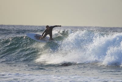 DSC_2485.jpg