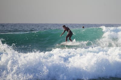 DSC_2487.jpg