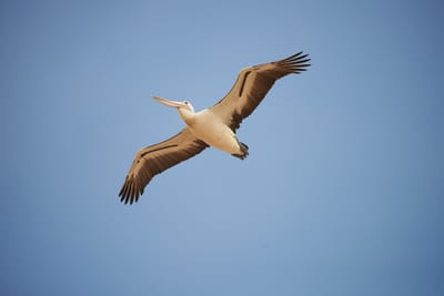 DSC_2950.jpg