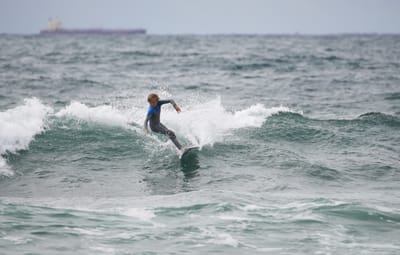 DSC_2999.jpg