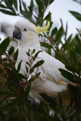 DSC_2758.jpg