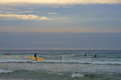 DSC_2785.jpg