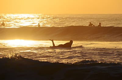 DSC_2010.jpg