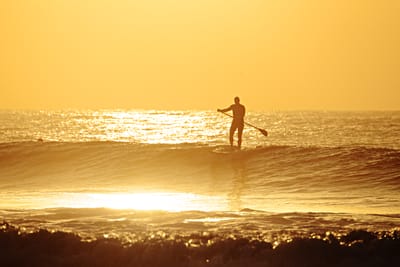 DSC_2012.jpg