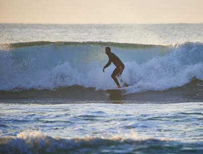 DSC_2022.jpg