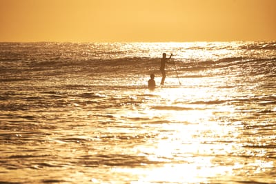 DSC_2023.jpg
