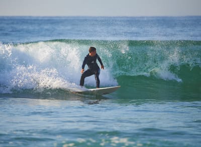 DSC_2223.jpg