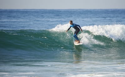 DSC_2277.jpg
