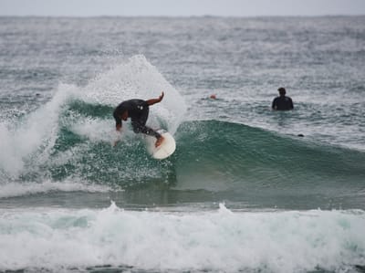 DSC_3095.jpg
