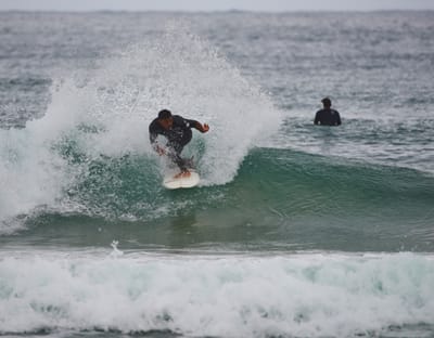 DSC_3096.jpg