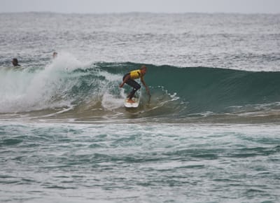 DSC_3102.jpg