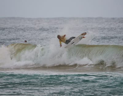 DSC_3104.jpg