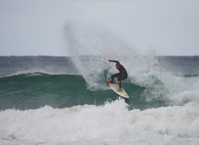 DSC_3227.jpg