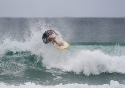 DSC_3231.jpg