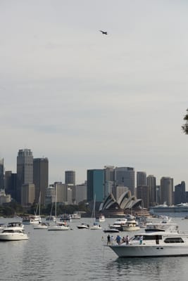 DSC_1631.JPG