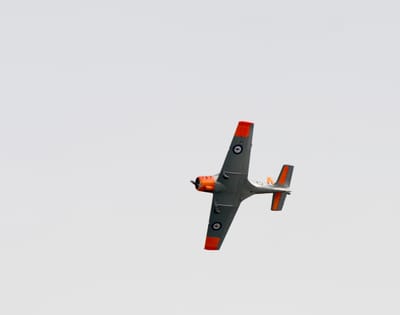 DSC_1634.JPG