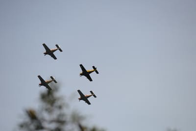DSC_1636.JPG