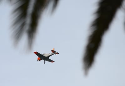 DSC_1638.JPG