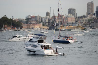 DSC_1643.JPG