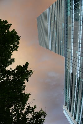 DSC_1933.JPG