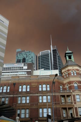 DSC_1935.JPG
