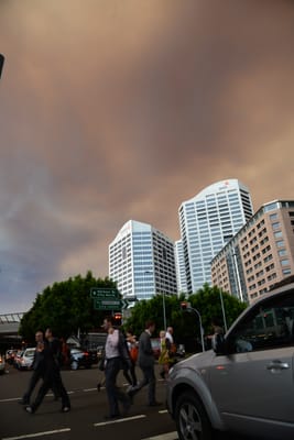 DSC_1942.JPG
