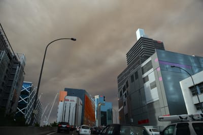 DSC_1947.JPG