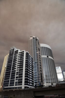 DSC_1949.JPG
