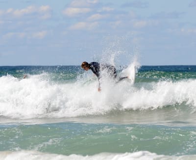 DSC_1130.JPG