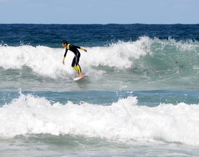 DSC_1151.JPG
