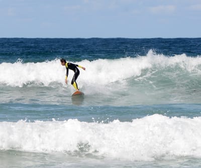 DSC_1152.JPG