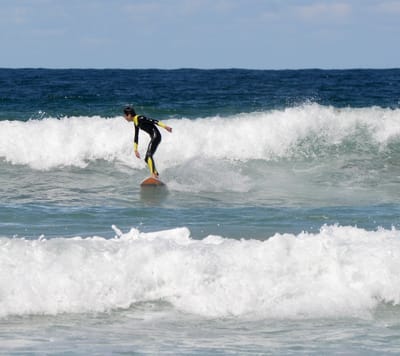 DSC_1153.JPG