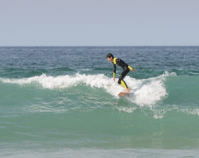 DSC_0902.JPG