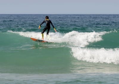 DSC_0903.JPG