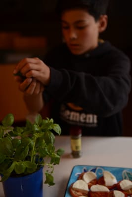DSC_1076.JPG