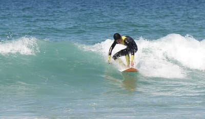 DSC_1405.JPG
