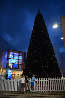 DSC_4281.JPG